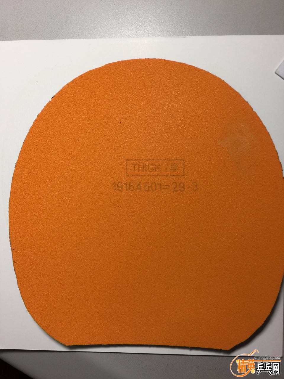 233216206697119499.jpg