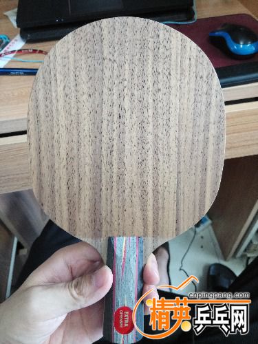 IMG_20170705_161525.jpg