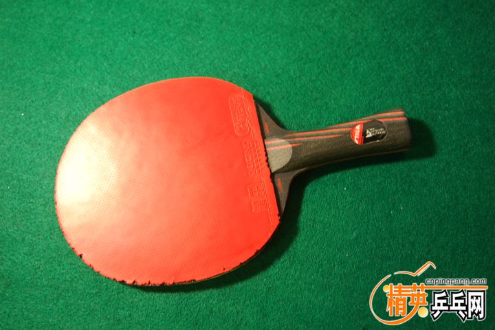 DSC_7377.JPG