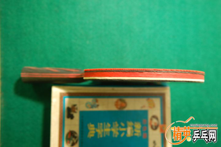 DSC_7380.JPG