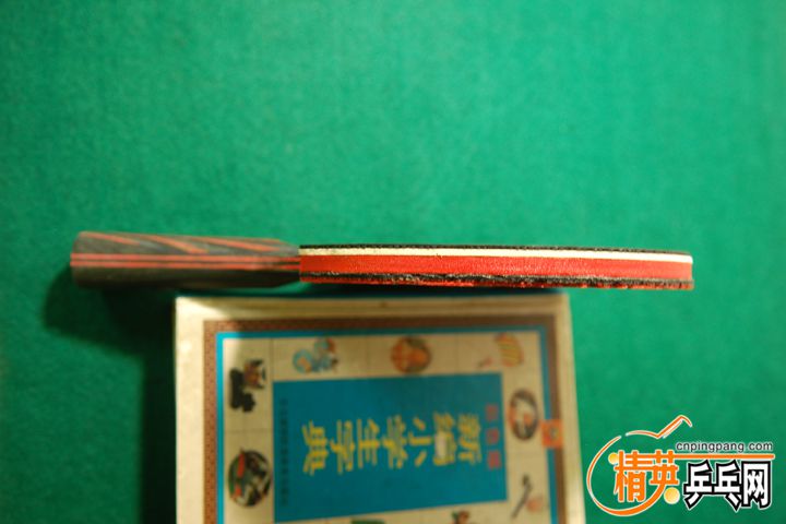 DSC_7381.JPG