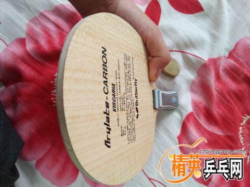 IMG20170709180010.jpg