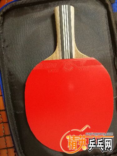 IMG_20170711_195935.jpg