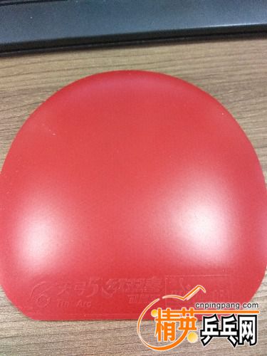 IMG_20170710_170942.jpg