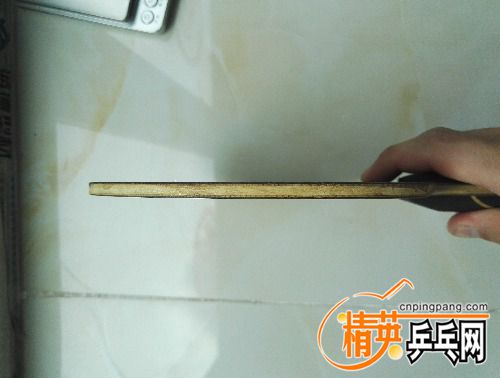 IMG_20170626_114430.jpg