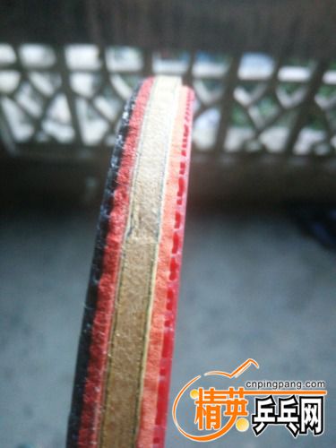 IMG20170712182437.jpg
