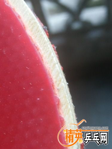 IMG20170712182556.jpg