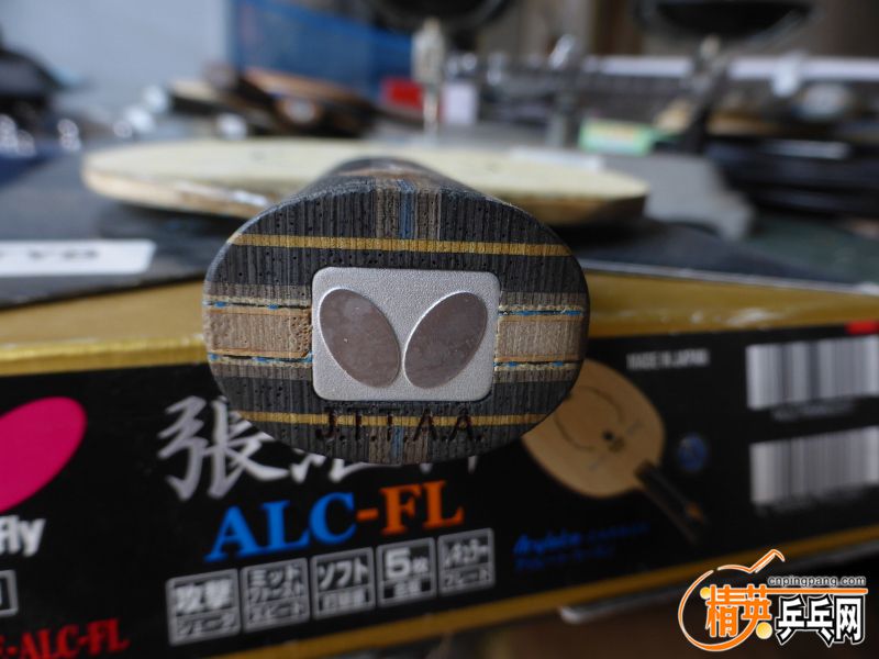P1040096 (800x600).jpg
