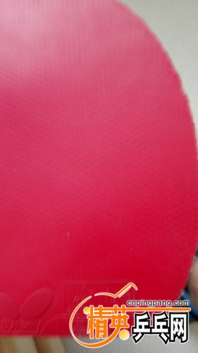 IMG_20170714_122418.jpg