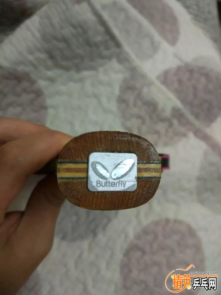 webwxgetmsgimg (1).jpg