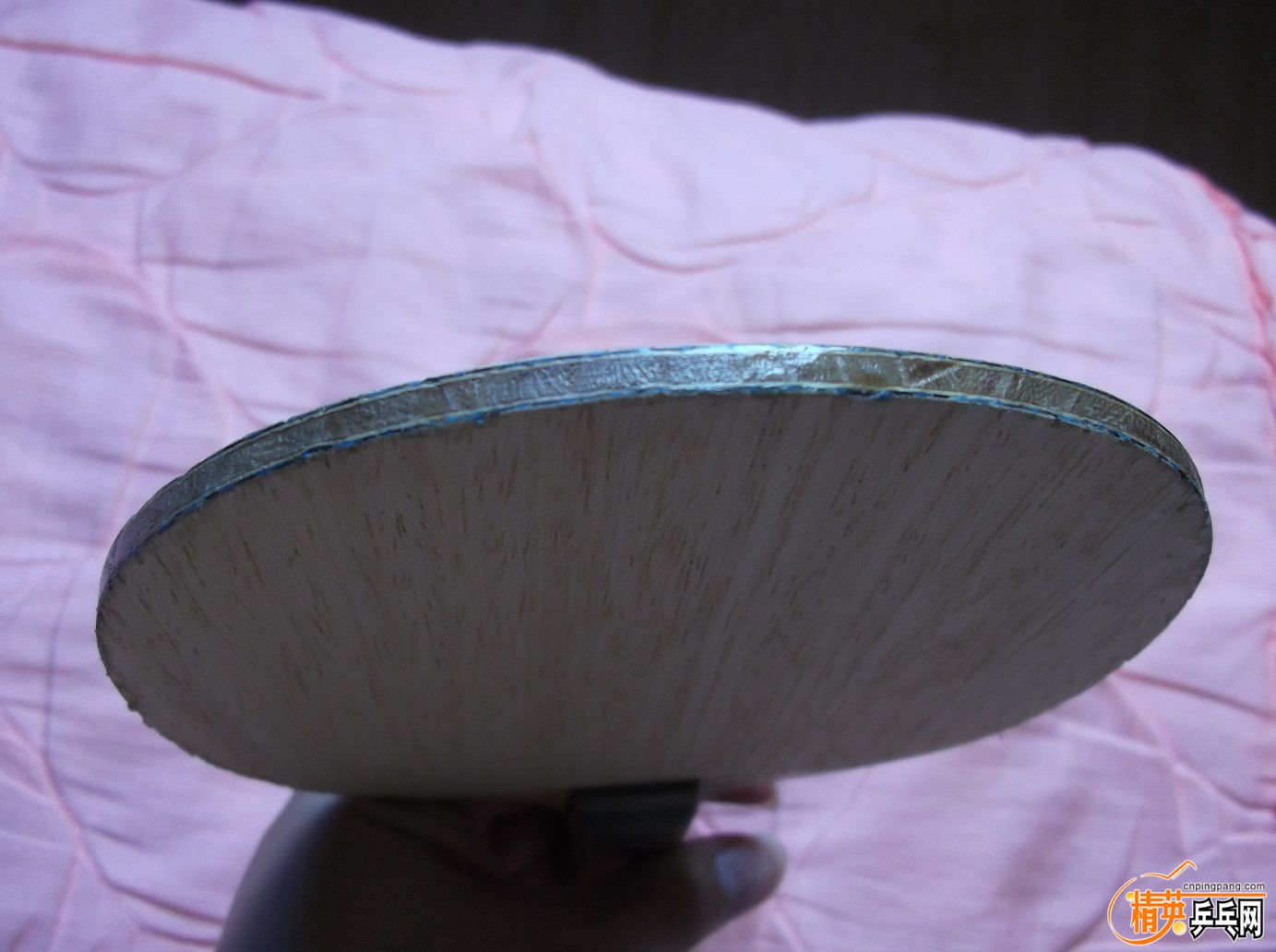 DSCF1613.JPG