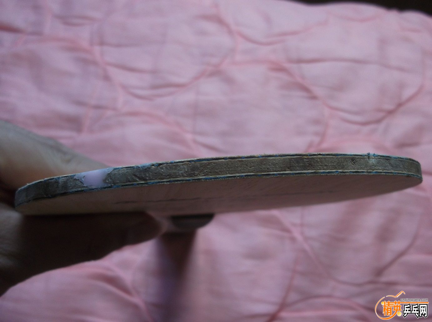 DSCF1617.JPG