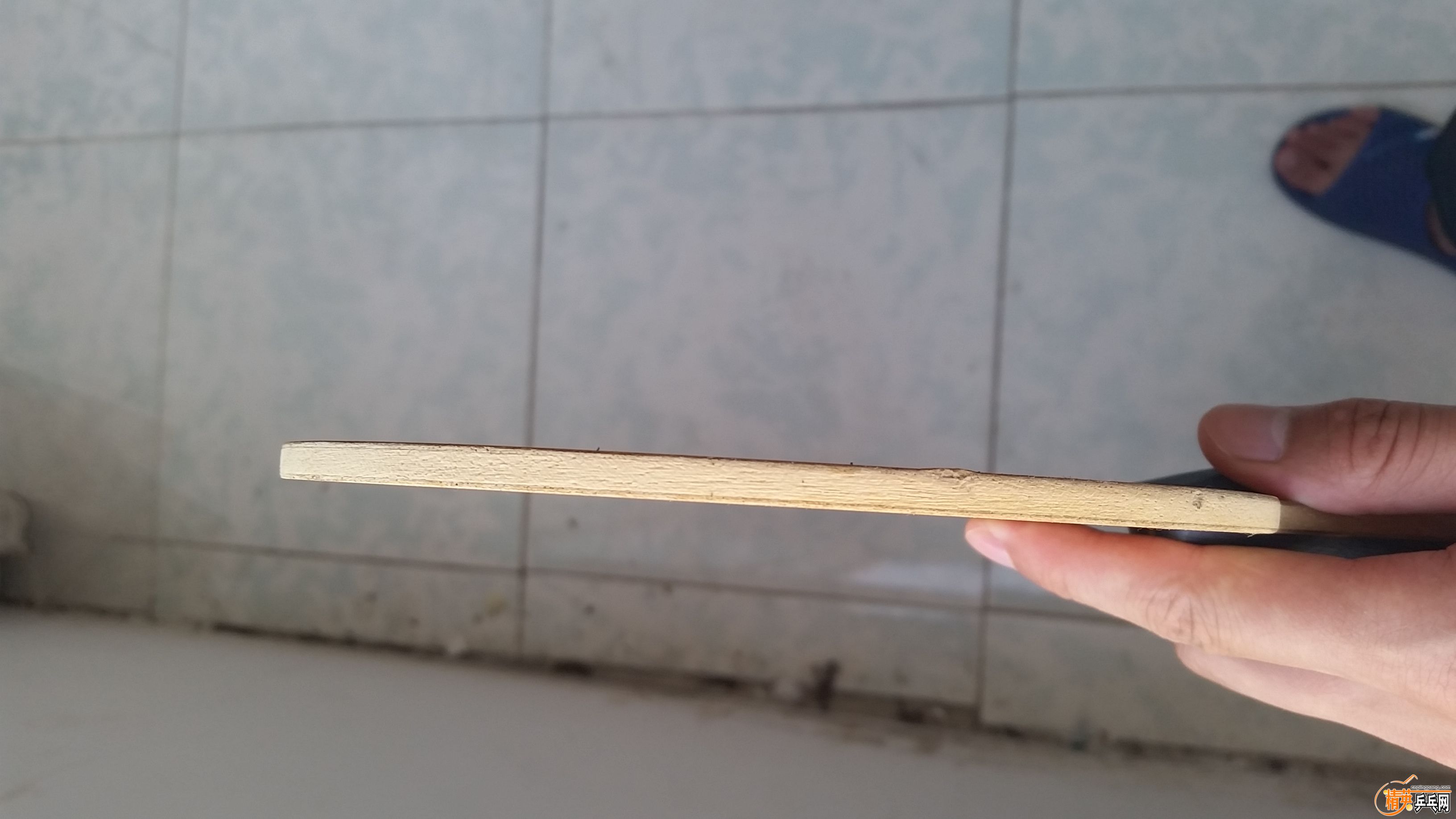 20170711_064929.jpg