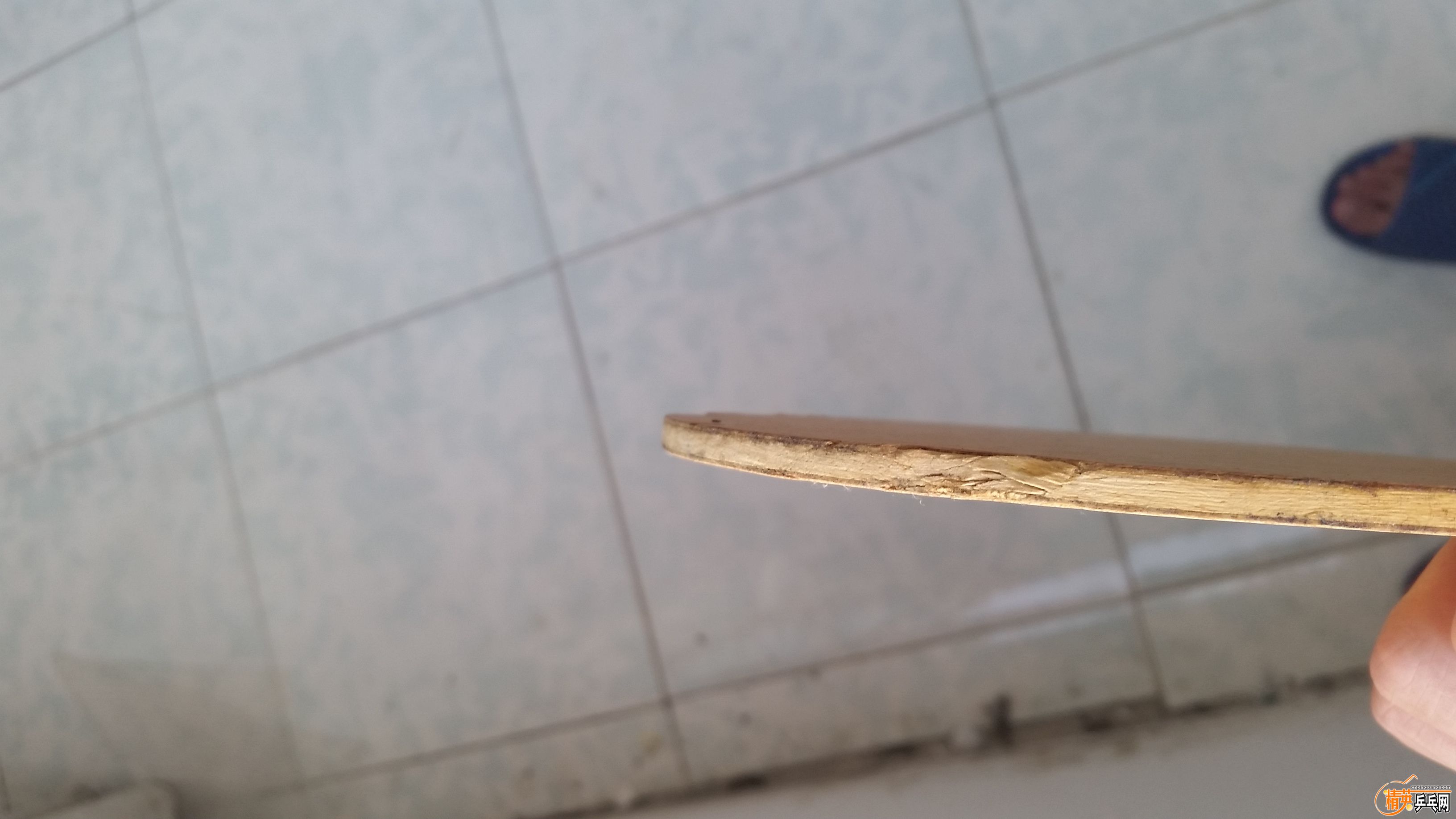 20170711_064608.jpg
