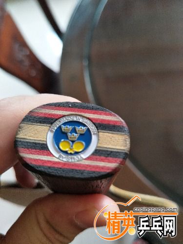 IMG20170720113947.jpg