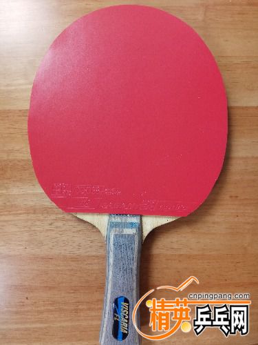 IMG_20170721_135534.jpg