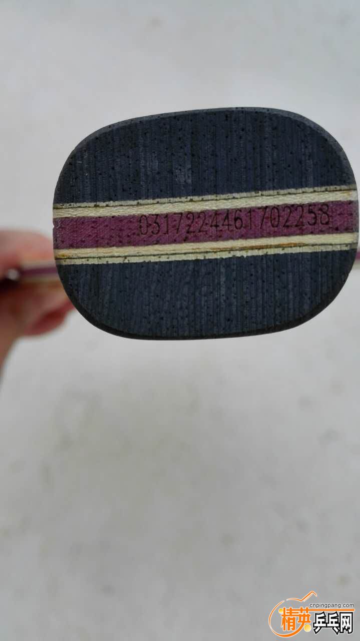 528060325.jpg