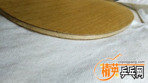 IMG_20170724_131217.jpg