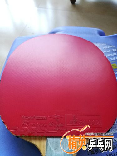IMG_20170724_170205.jpg