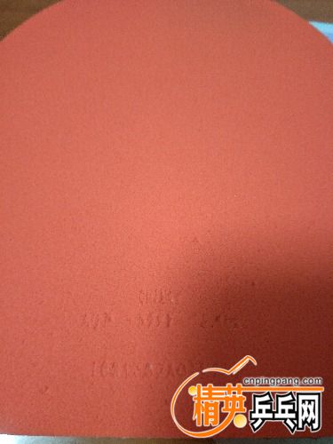 IMG20170725145440.jpg
