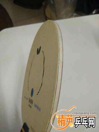 IMG_20170725_224141.jpg