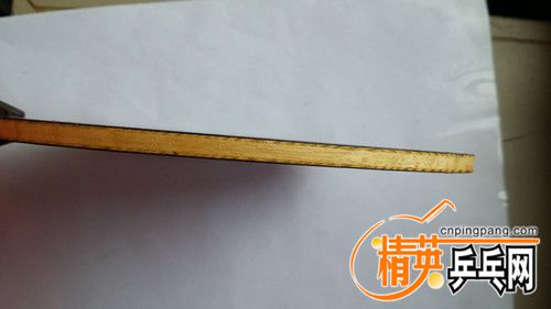 20170725_125141_.jpg