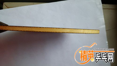 20170725_125147_.jpg