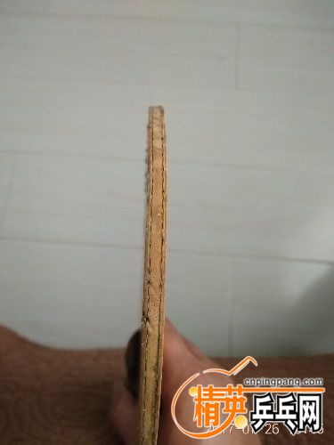 IMG_20170726_134522.jpg