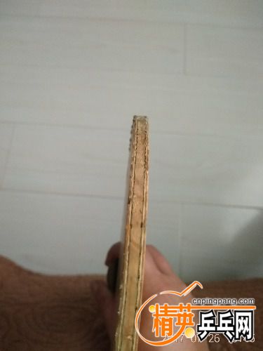 IMG_20170726_134526.jpg