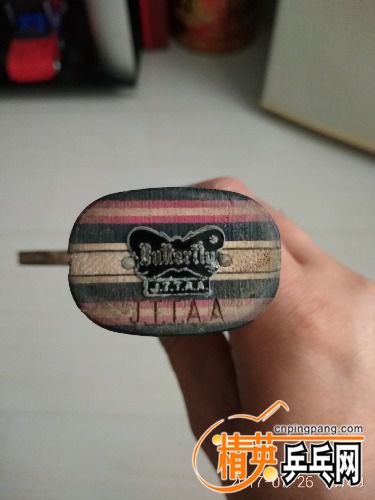 IMG_20170726_134908.jpg
