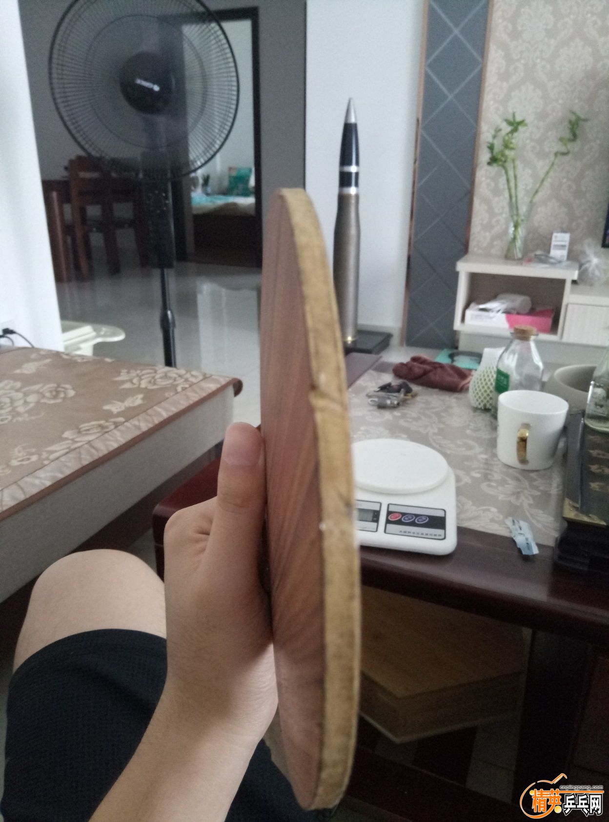 P70723-145949.jpg