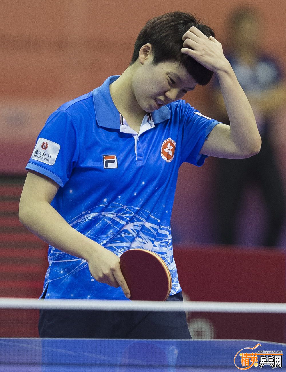 2017ȫ۹ſlװ壺CLIPPER WOOD CR 棬Ȧ칥9.jpg