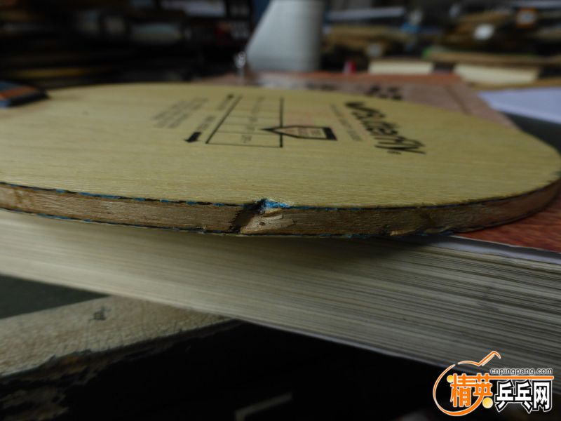 P1040259 (800x600).jpg