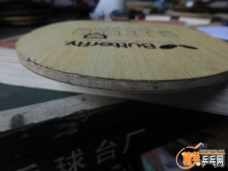 P1040260 (800x600).jpg