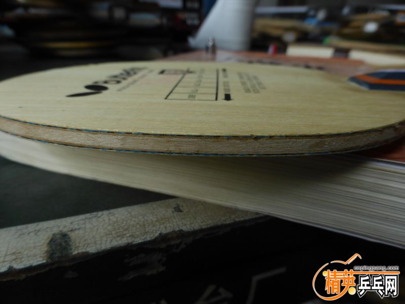 P1040261 (800x600).jpg