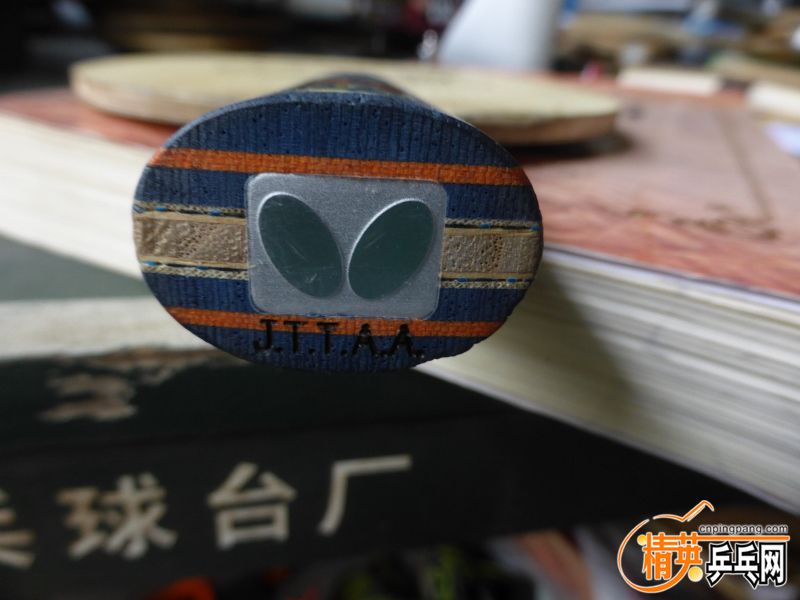 P1040262 (800x600).jpg