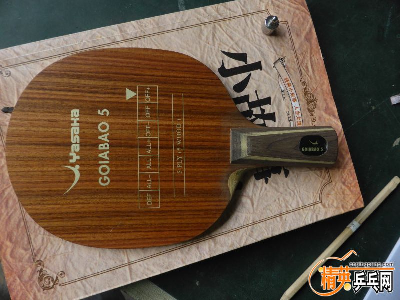 P1040275 (800x600).jpg