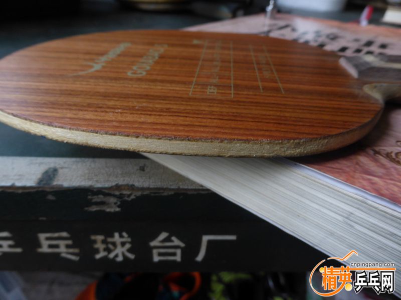 P1040277 (800x600).jpg