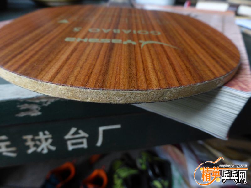 P1040278 (800x600).jpg