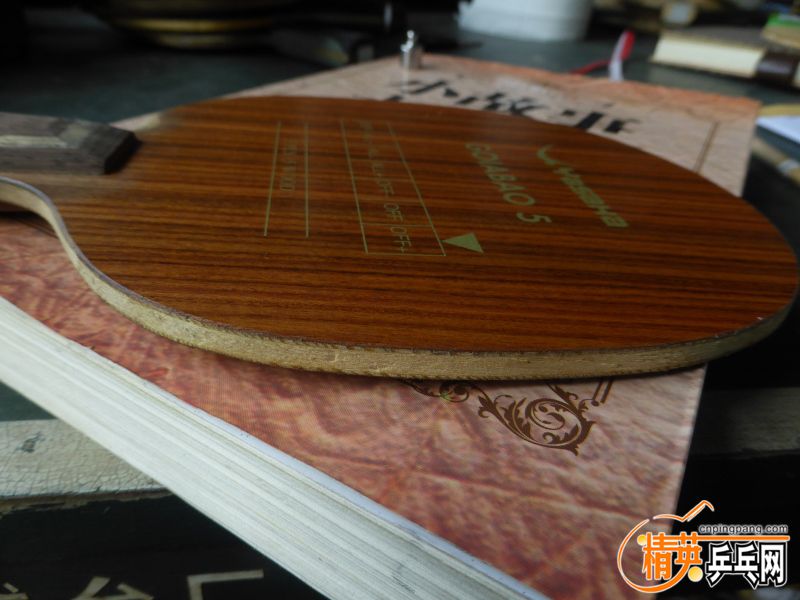 P1040279 (800x600).jpg