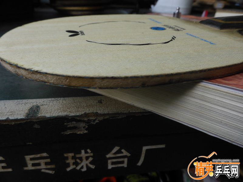 P1040295 (800x600).jpg