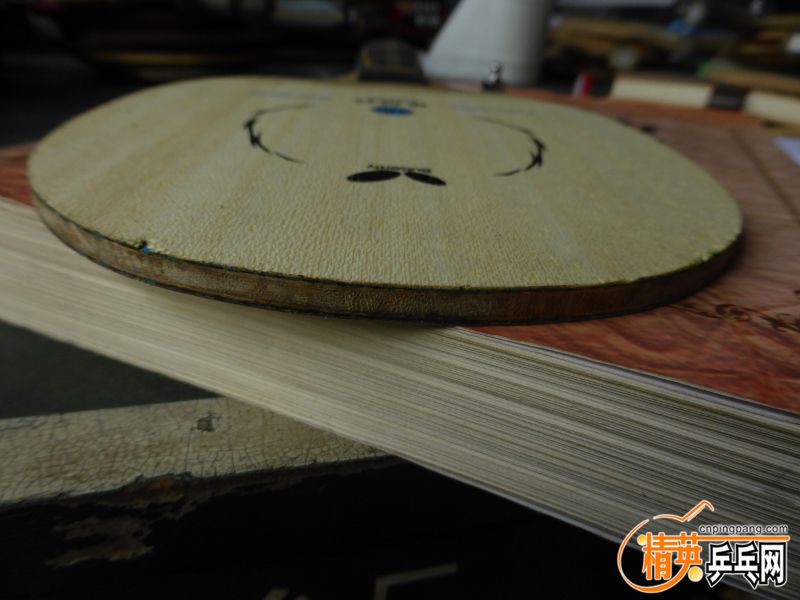 P1040296 (800x600).jpg