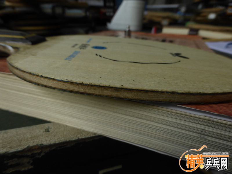 P1040297 (800x600).jpg