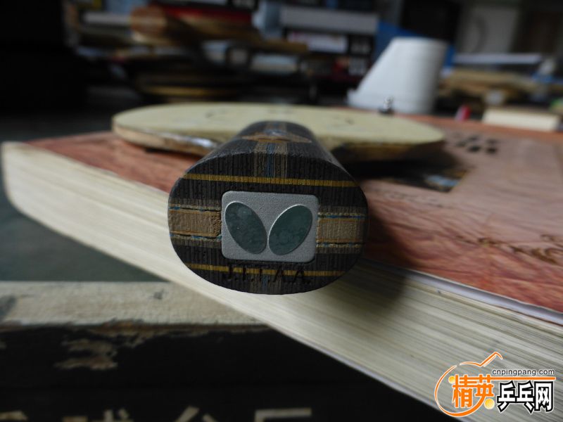 P1040298 (800x600).jpg