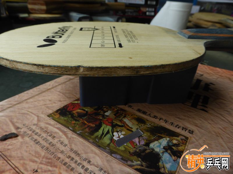 P1040301 (800x600).jpg