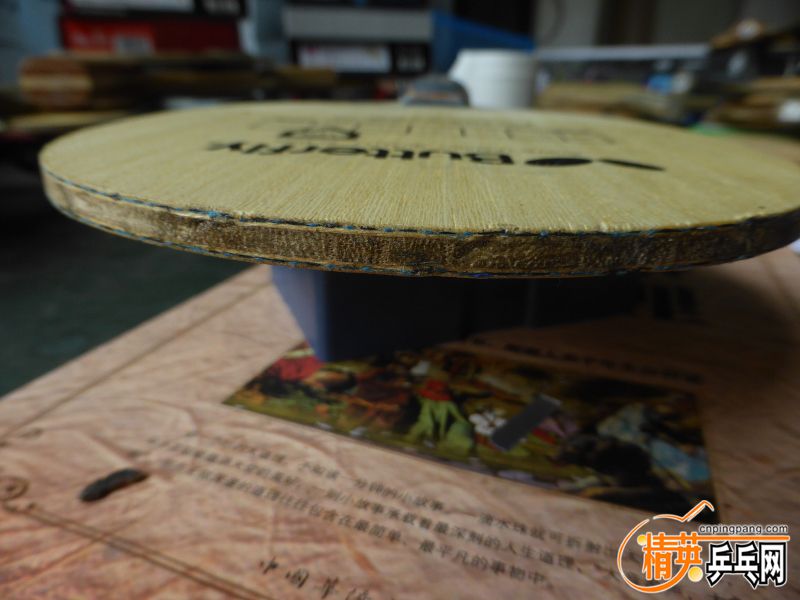 P1040302 (800x600).jpg