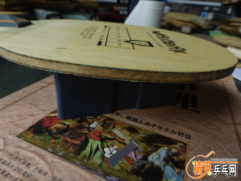 P1040303 (800x600).jpg