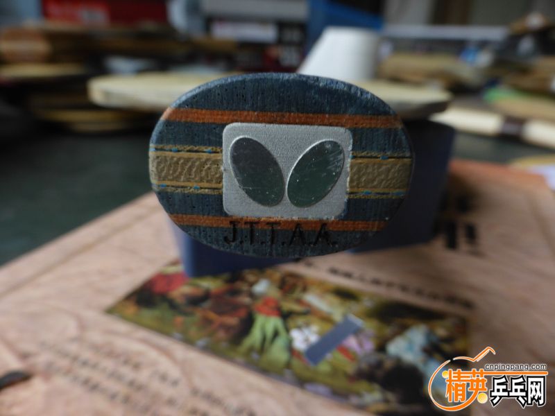 P1040304 (800x600).jpg