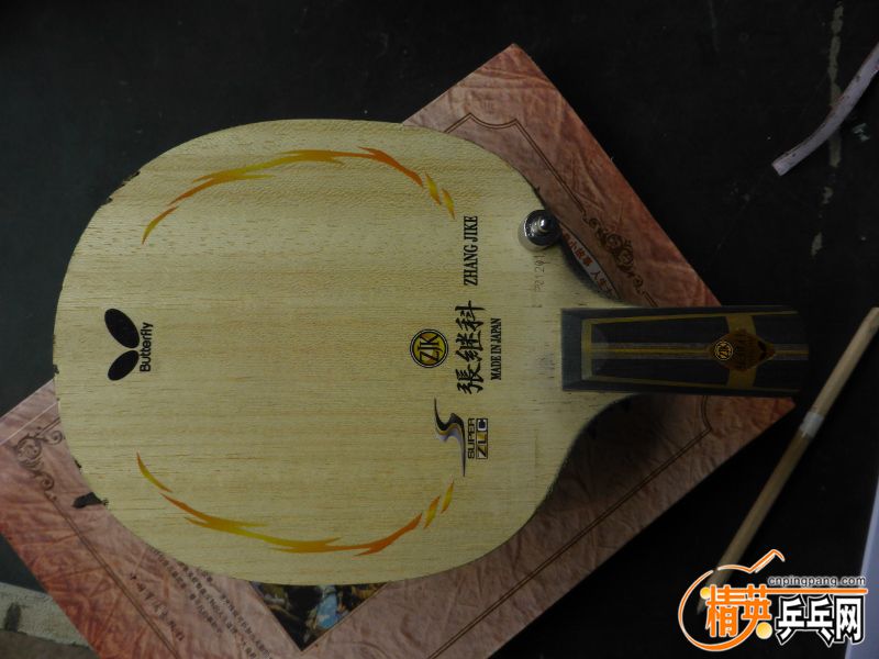 P1040305 (800x600).jpg