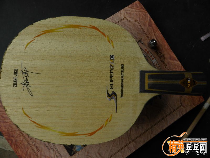 P1040306 (800x600).jpg